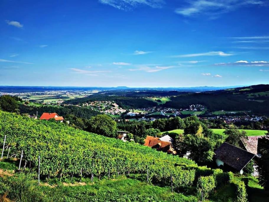 Wiednermichl - Urlaub In Den Weinbergen Krottendorf bei Ligist Extérieur photo